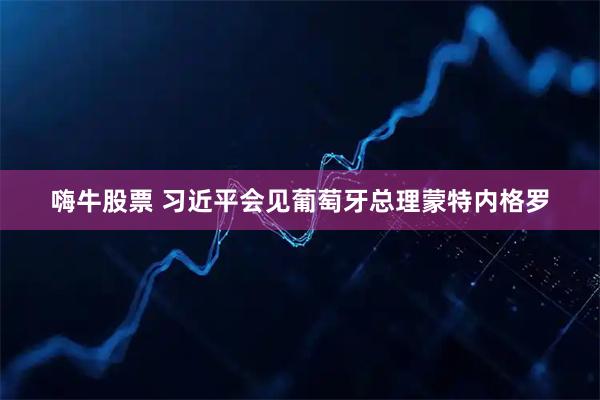 嗨牛股票 习近平会见葡萄牙总理蒙特内格罗