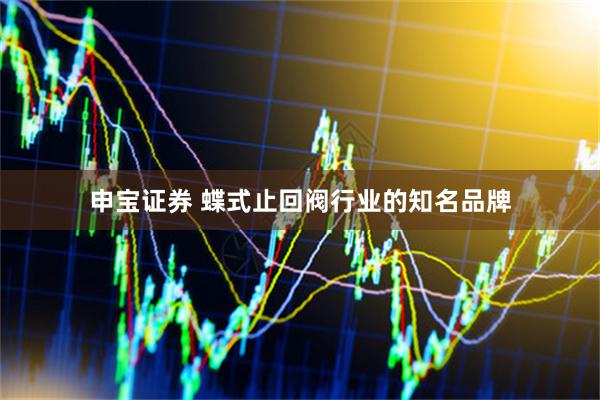 申宝证券 蝶式止回阀行业的知名品牌